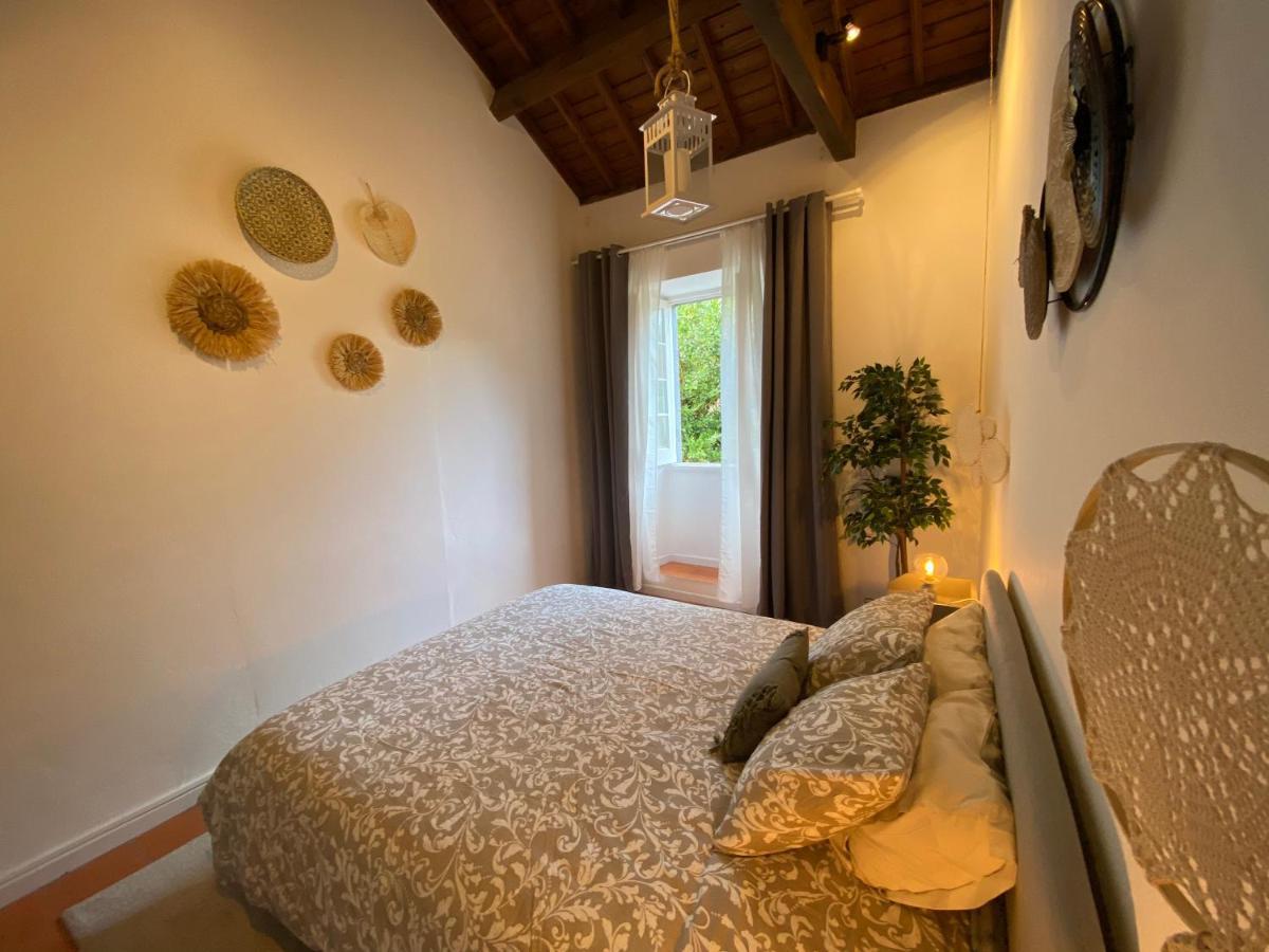 Ribeira Do Guilherme - Watermill House Botanic Garden Chalet